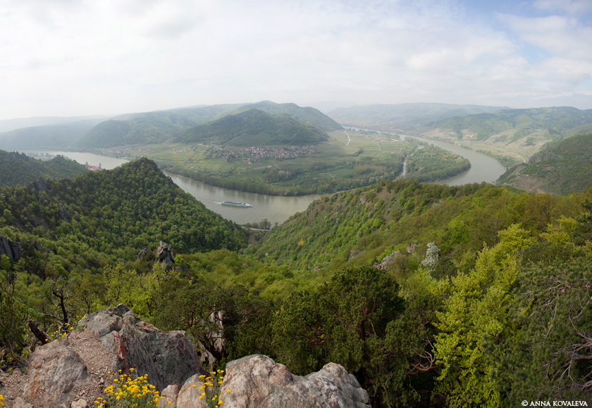 Donau2