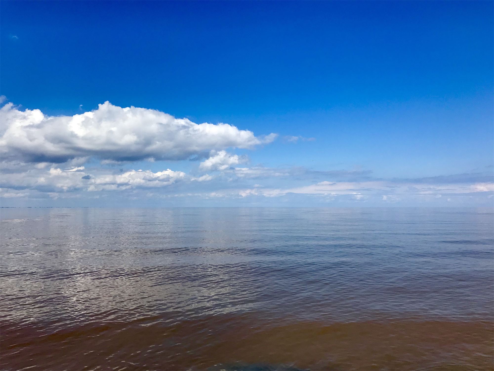 озеро ильмень в новгороде