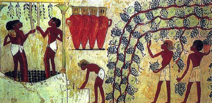 Сбор винограда и изготовление вина в Древнем Египте