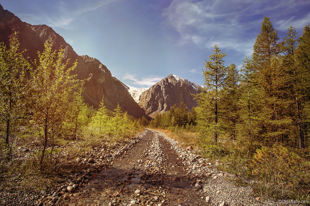 Auto travel in Altai Mountains way to Aktru